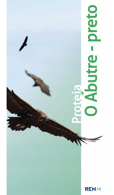 Proteger o abutre-preto