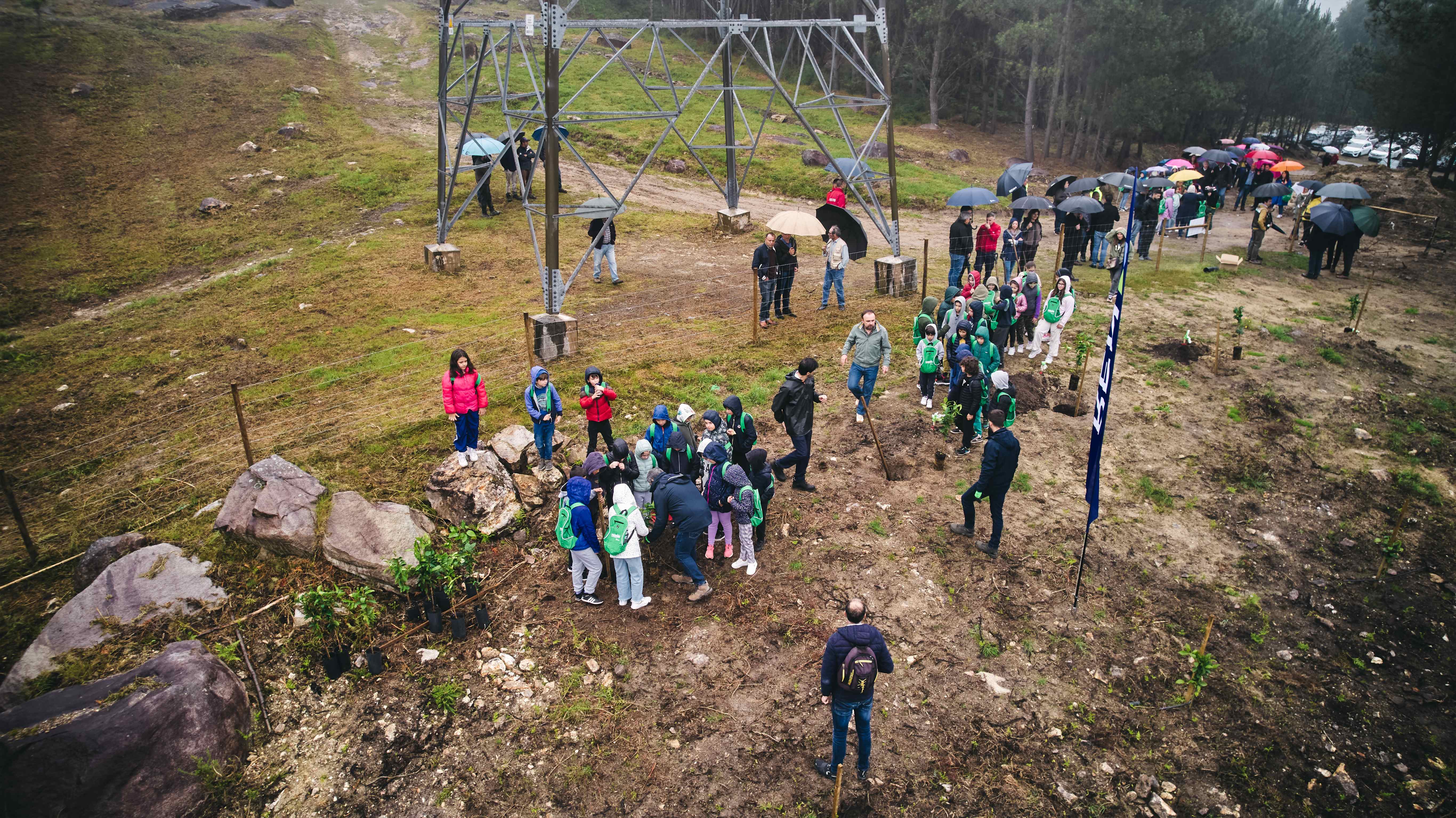 alunos do primeiro ciclo a platarem laranjeiras de Ermelo | REN Arcos de Valdevez