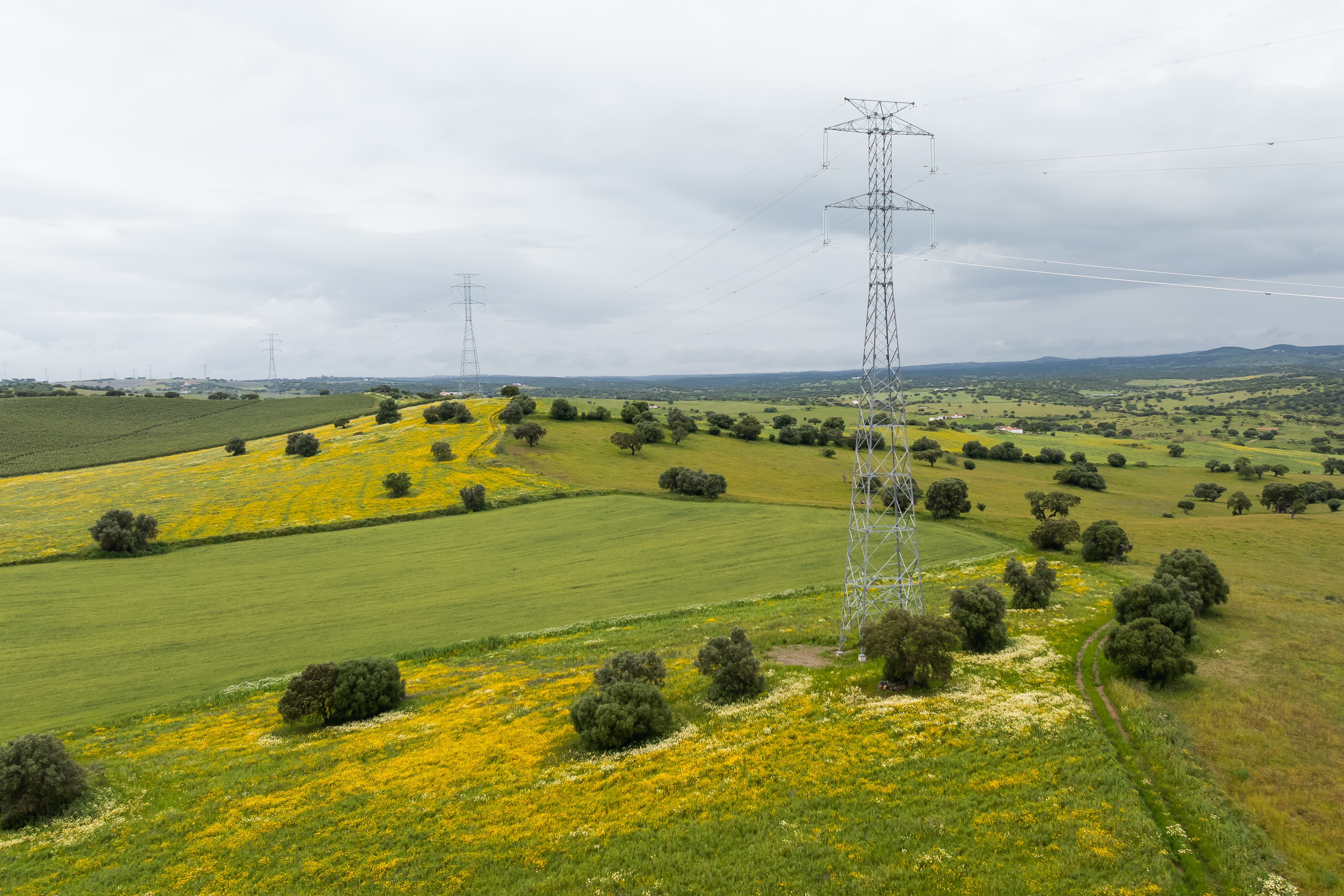 linha Estremoz-Alandroal postes
