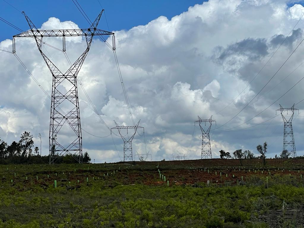 linhas eletricidade