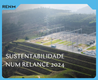 capa da publicação Sustentabilidade num relance 2024 REN