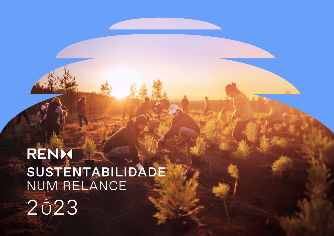 Capa da publicação Sustentabilidade num relance
