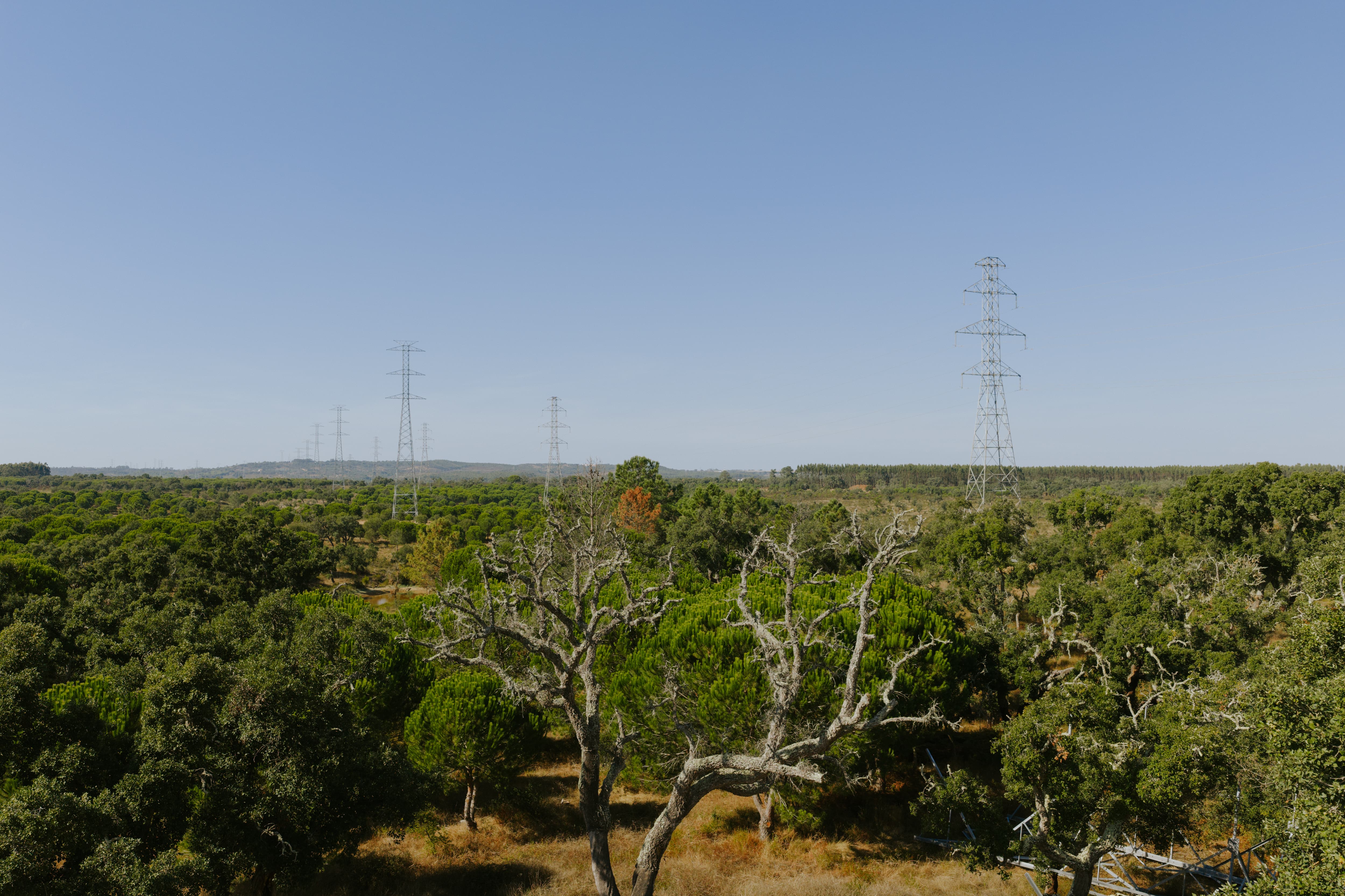 novo posto de corte abrantes